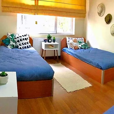 Aydinoglu
