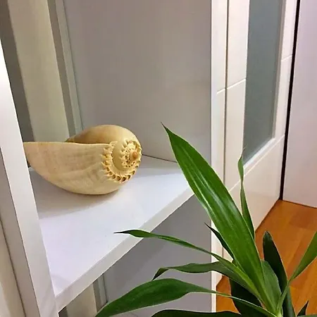 Aydinoglu 3* Деницли